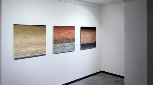 Autoportraits Triptych @Galerii Sztuki Współczesnej Elektrownia